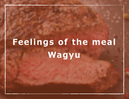 Feelings of the meal Wagyu